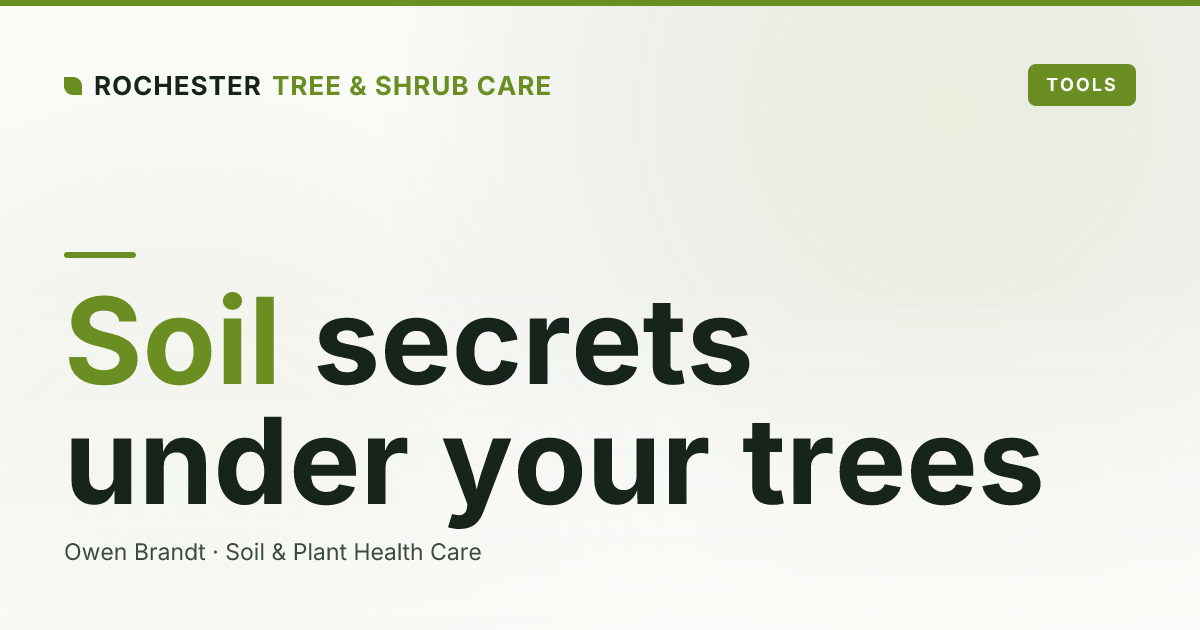 Soil Testing for Trees in Rochester: What to Test and How to Read Results