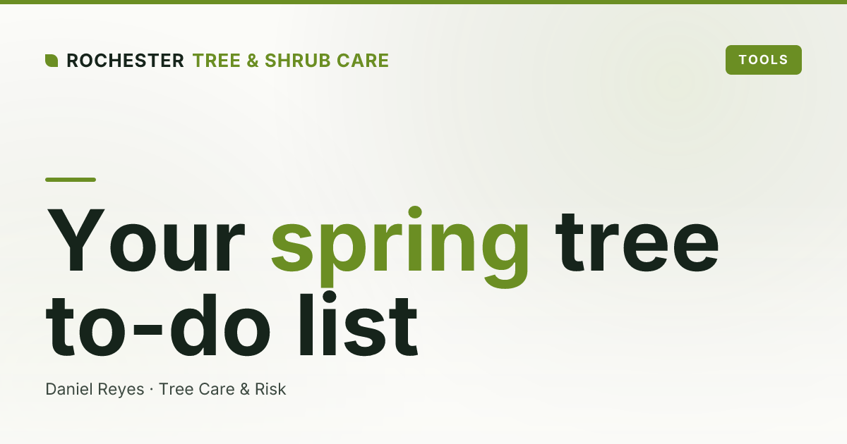 Spring Tree Care Checklist for Rochester, NY Yards