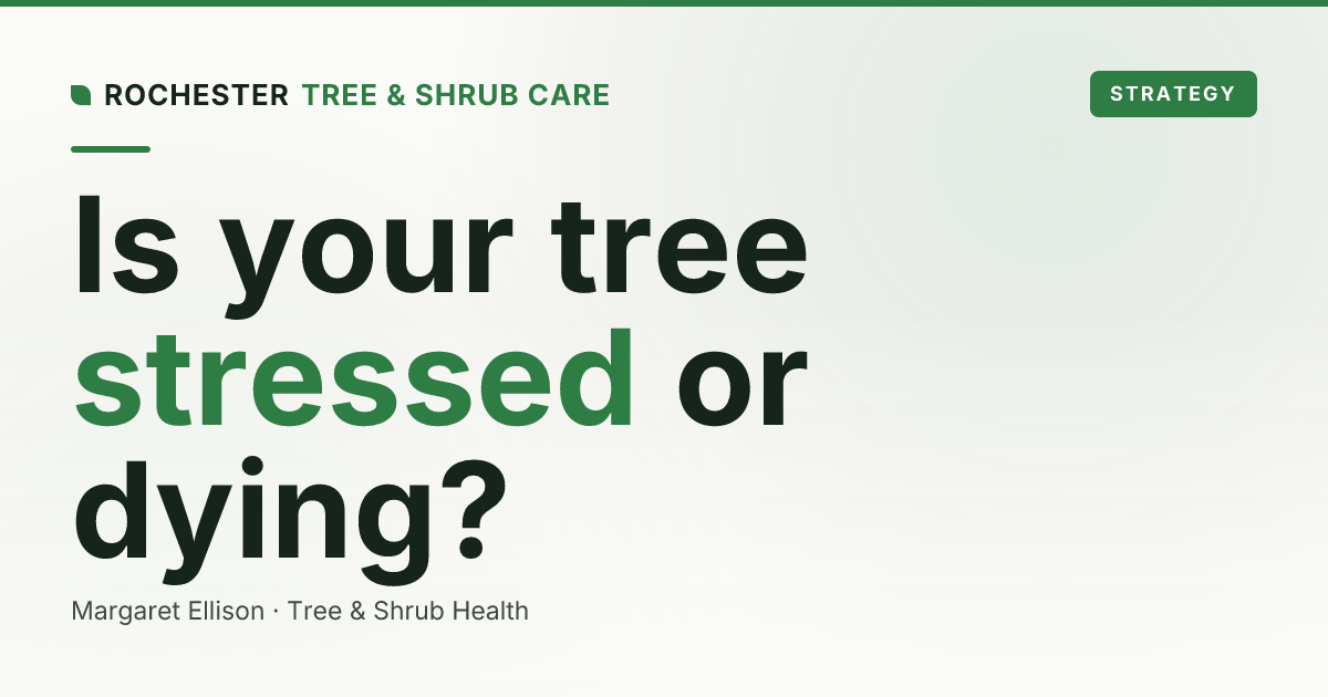 Stressed Tree vs Dying Tree: When to Call an Arborist vs Wait