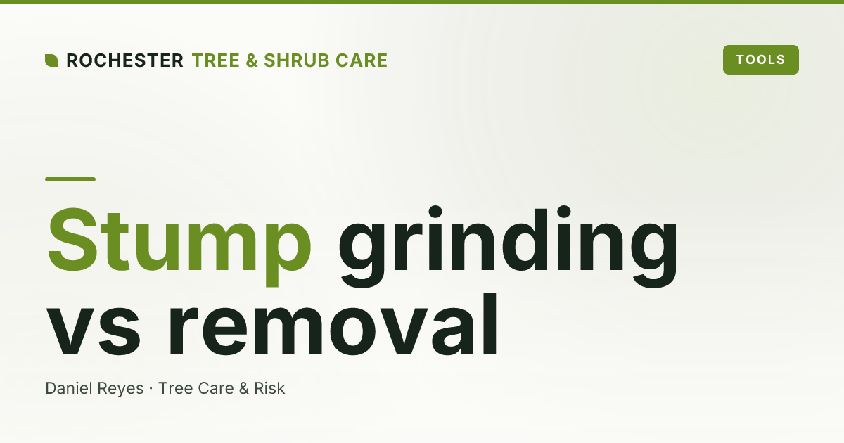 Stump Grinding vs Stump Removal: Cost and Differences in Monroe County