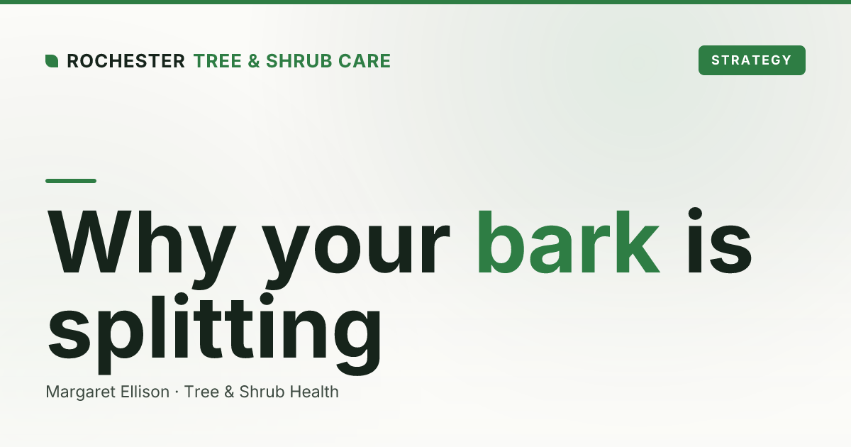 Bark Splitting and Cracking on Rochester Trees: Causes and When It's Serious