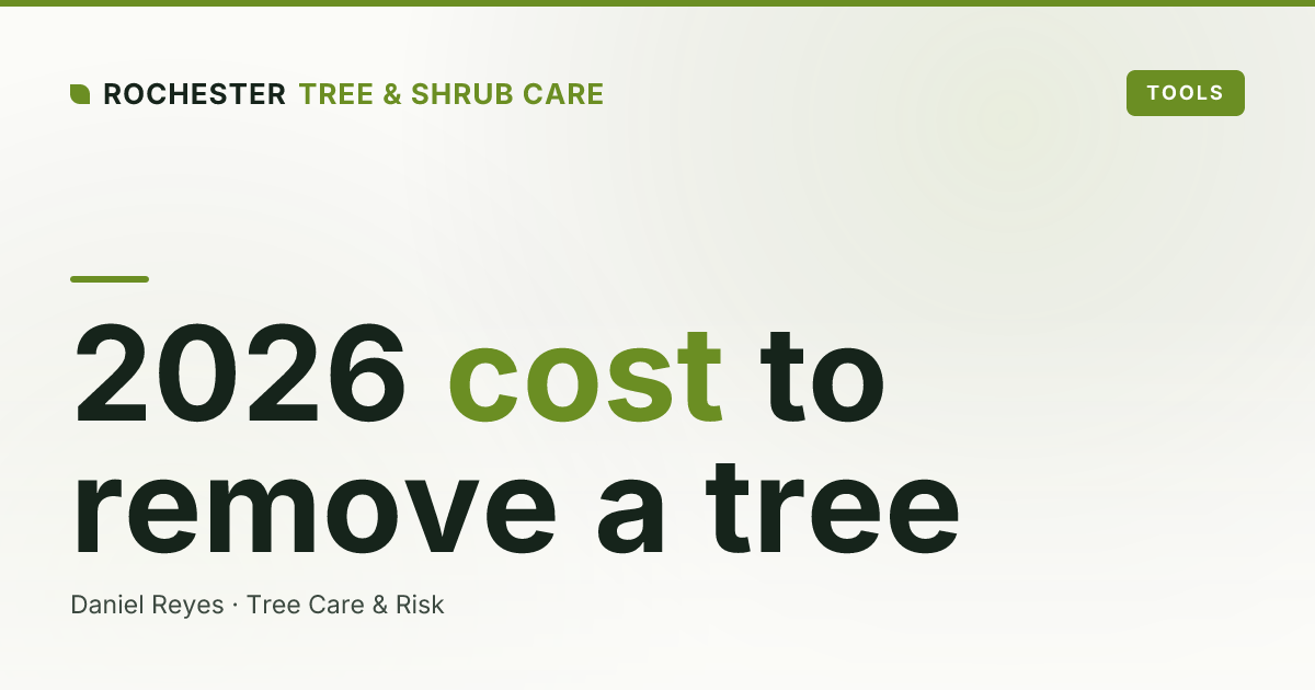 How Much Does Tree Removal Cost in Rochester, NY? A 2026 Price Guide