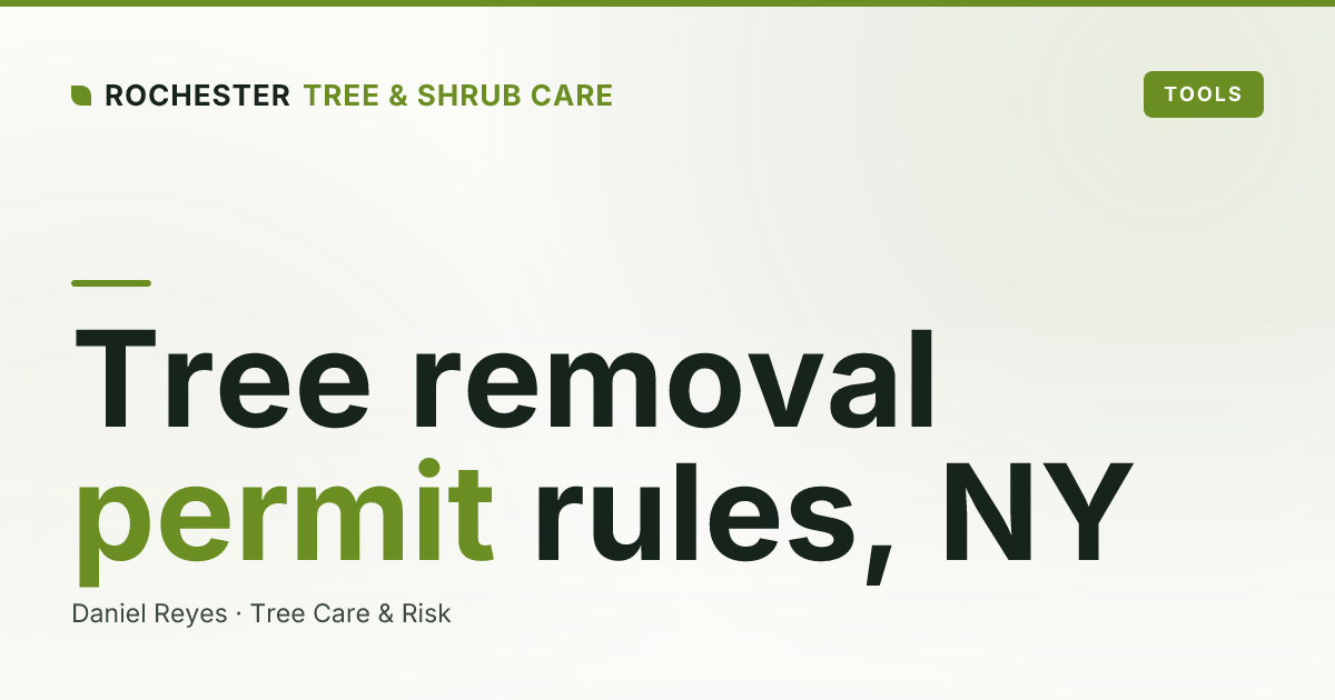Do You Need a Permit to Remove a Tree in Monroe County, NY?