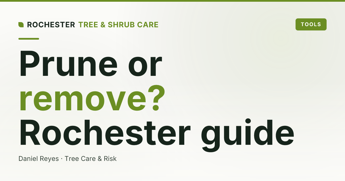 Tree Removal vs Tree Pruning: Which Does Your Rochester Tree Actually Need?
