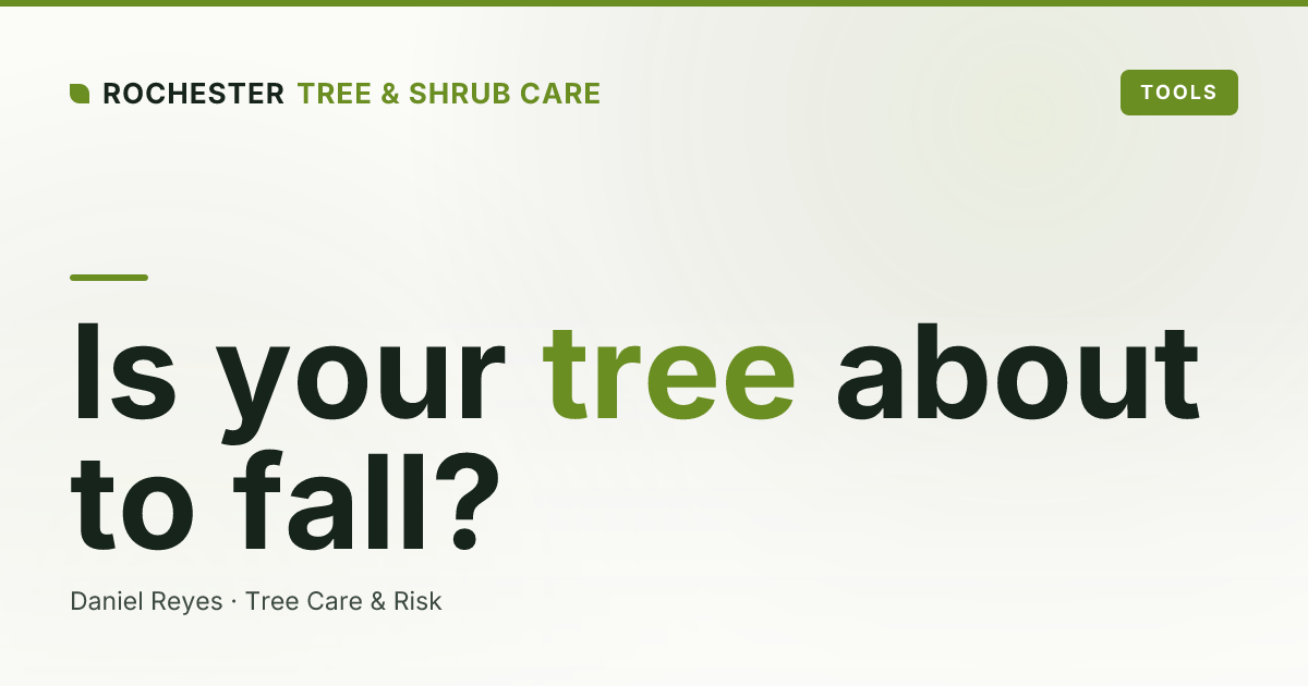 What Is a Tree Risk Assessment, and When Do Rochester Homeowners Need One?