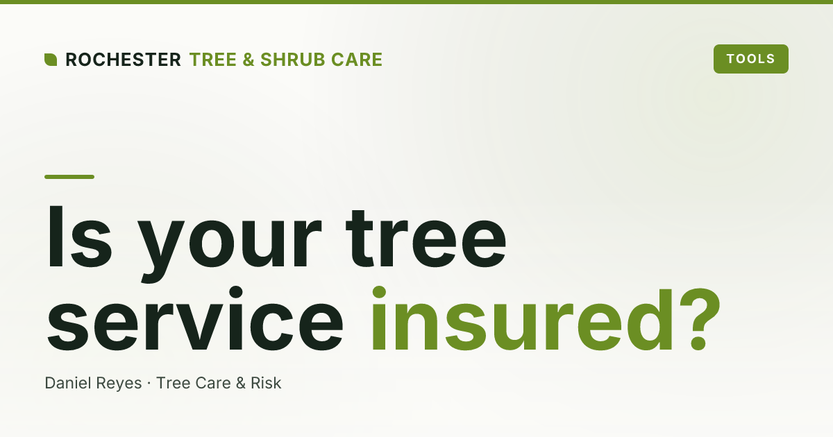 Is Your Tree Service Actually Insured? What Rochester Homeowners Must Verify