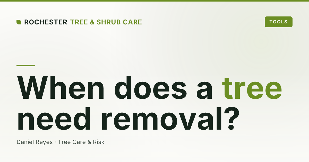 When Does a Tree Need to Be Removed? 7 Warning Signs for Rochester Homeowners