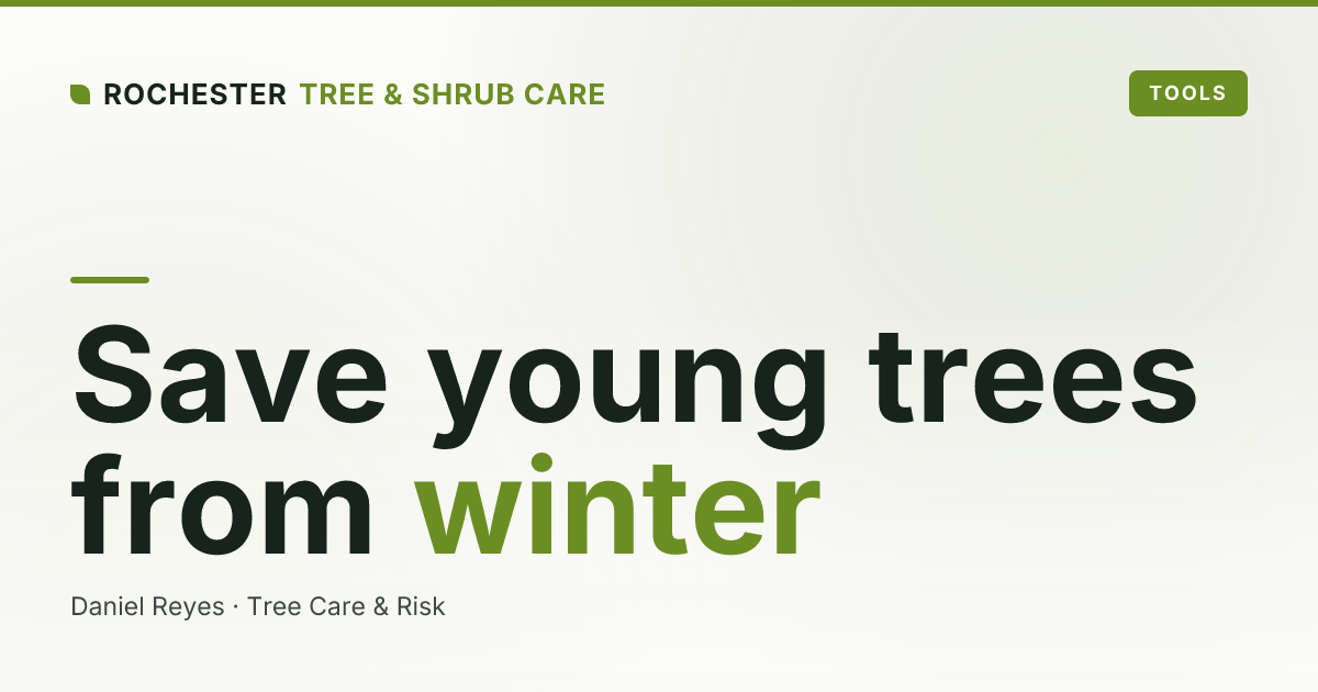 How to Protect Young Trees Through a Rochester Winter